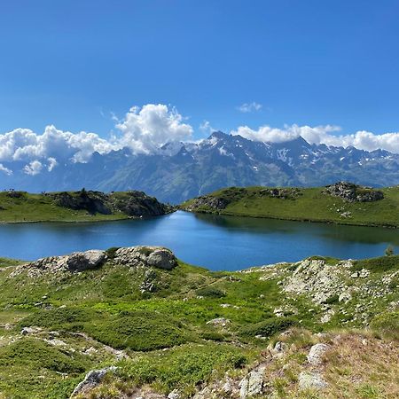 Chalet La Perle De L'Oisans - Appartements D'Exception วูจานีย์ ภายนอก รูปภาพ